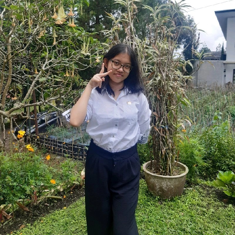 Team Member 3